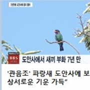 도안사를 찾아…