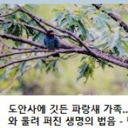 법보신문에 실…