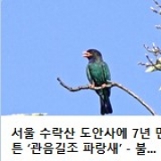 불교신문에 실…